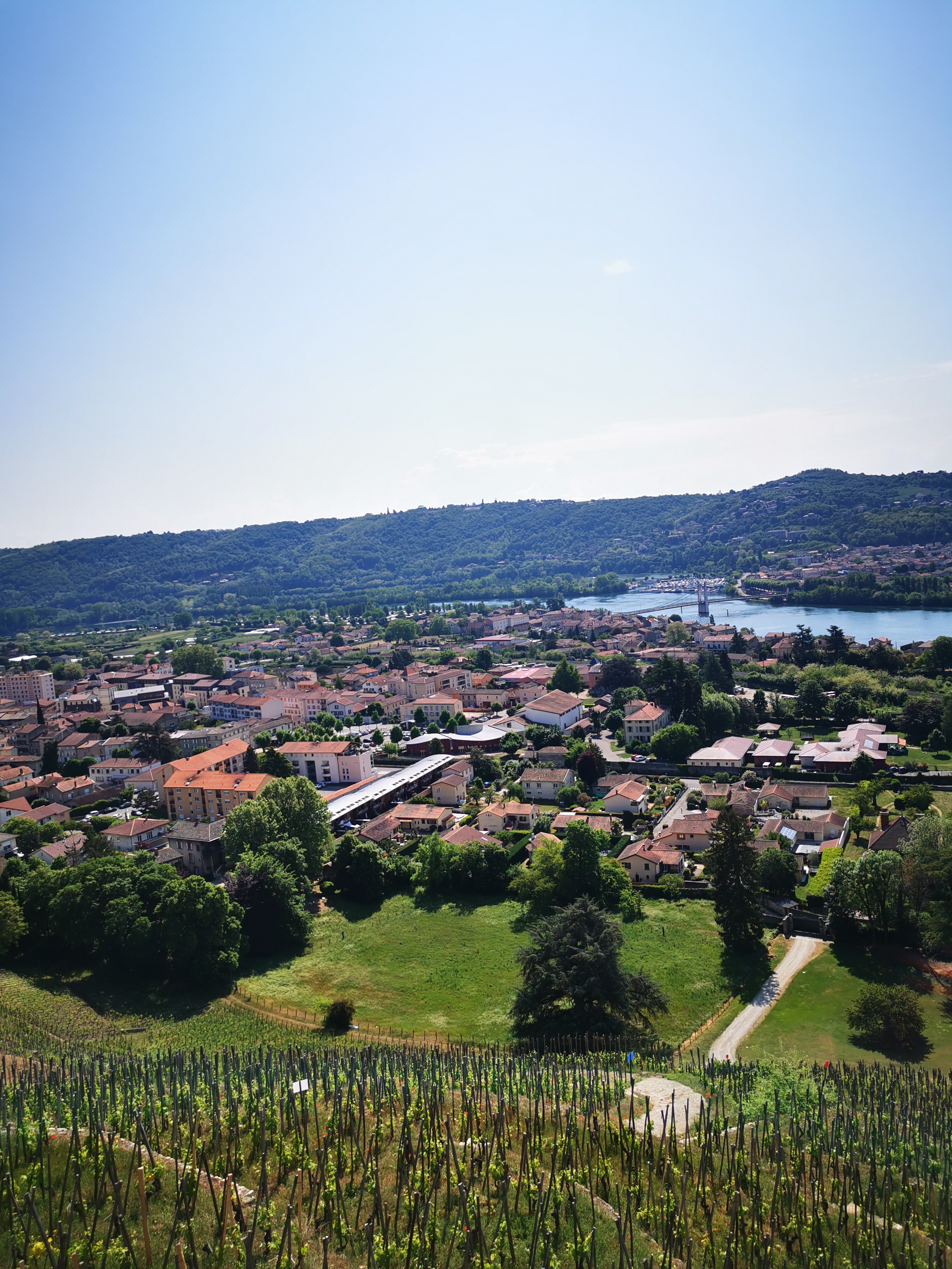 Condrieu et ses vignes