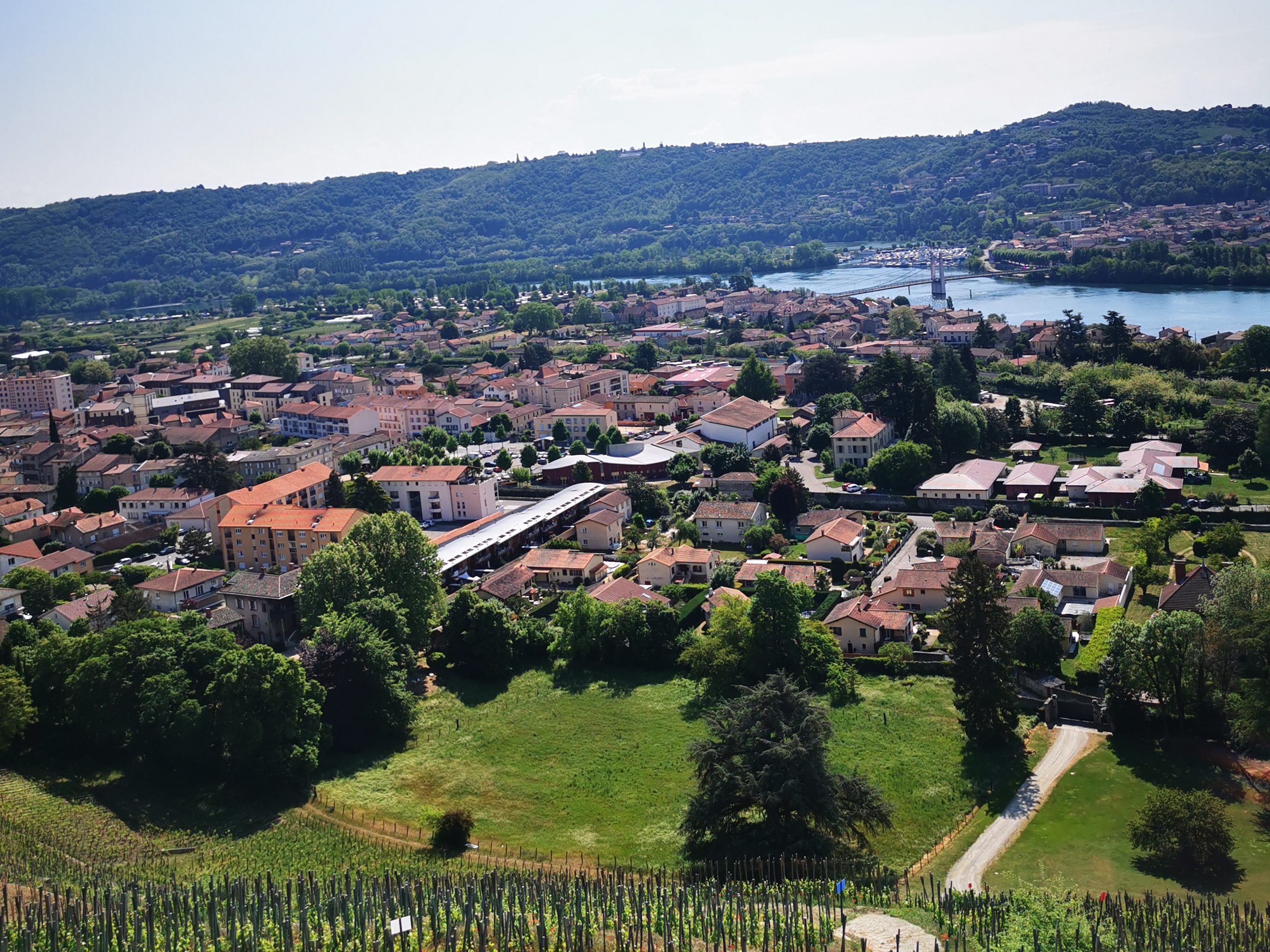 Condrieu et ses vignes