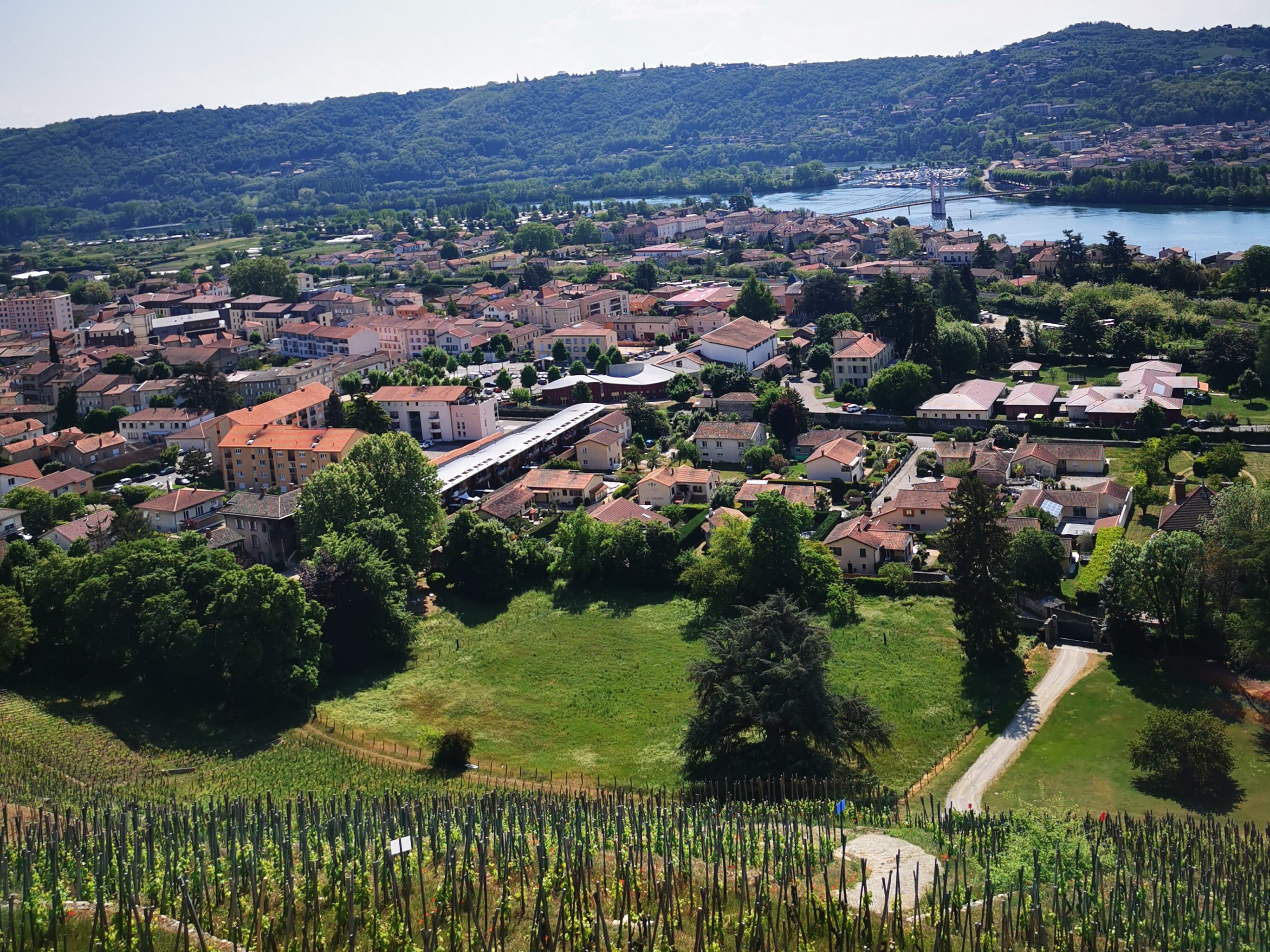 Condrieu et ses vignes